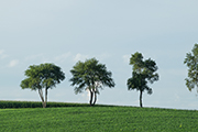 View Panorama Gallery