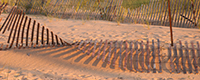 View Beach Fence