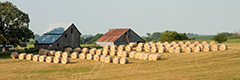 View Hayrolls