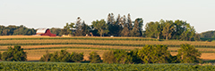 View Farm and Barn