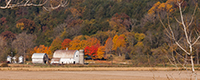 View Farm