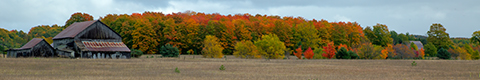 View Barn