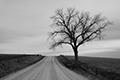View Gravel Road