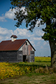View Barn and Windmills