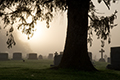 View Cemetery