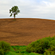 View Tree
