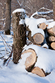 View Firewood